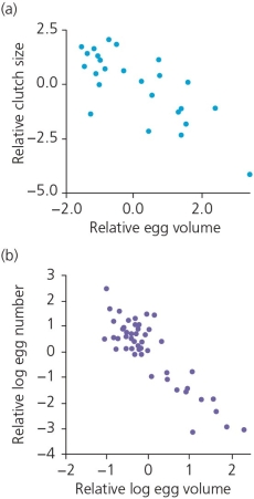 Studies by Elgar and Berrigan (shown in the accompanying figure show a ________ [positive/negative] correlation between the number of ________ and the size of ________.  <div style=padding-top: 35px> 