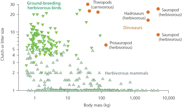 In reading the accompanying figure from left to right,the data reveal that as herbivorous mammals get ________,their litter sizes get ________.  <div style=padding-top: 35px> 