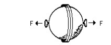 <strong>Use the following figure to answer the question: It would be easier to pull evacuated Magdeburg hemispheres apart when they are</strong> A)held upside down. B)at sea level. C)20 km beneath the ocean surface. D)20 km above the ocean surface. E)none of these
