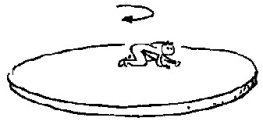 <strong>Use the following figure to answer the question: Suppose you are at the center of a large freely-rotating horizontal turntable in a carnival funhouse.As you crawl toward the edge,the angular momentum of you and the turntable</strong> A)decreases. B)increases. C)remains the same,but the RPMs decrease. D)decreases in direct proportion to your decrease in RPMs. E)none of these