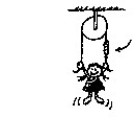 <strong>Figure N-2 A 100-N little physics tyke hangs on the ends of a rope suspended over a pulley as shown. The tension in the rope is</strong> A)0 N. B)50 N. C)100 N. D)200 N. It is interesting to note that E)the tension in the rope at its midpoint (uppermost part)is 100 N. F)this is a modified tug-o'-war example (simply draped over a pulley). G)the net force acting on the rope is in this case identical to the child's weight.