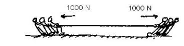 <strong>Figure N-4 Each group in a tug-of-war pulls with 1000 N on each side of the rope. The net force on the rope is</strong> A)0 N B)500 N C)1000 N D)2000 N And the tension within the rope is E)0 N. F)500 N. G)1000 N. H)2000 N.