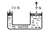 <strong>Figure E-6 In the hydraulic device shown, when the small piston is pushed down 10 cm with a force of 10 N, the large piston is raised 1 cm. This means that the large piston is capable of lifting</strong> A)10 N, B)100 N, C)1000 N, D)any amount of weight, Which illustrates E)that impulse is equal to a change in momentum. F)(F × d)input = (F × d)output. G)Newton's second law. H)that the stored energy that a body possesses may be transformed into other forms of energy.