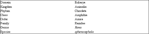 <strong>The table represents a: </strong> A)classification of the frog Rana sphenocephala. B)phylogenetic tree of Rana sphenocephala. C)cladogram of Rana sphenocephala. D)hierarchical list of the taxonomic ranks and taxa to which Rana sphenocephala belongs. E)listing of the scientific names of Rana sphenocephala.