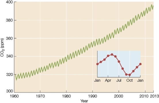 <strong>Refer to the graph below.The Keeling curve,shown here,provides us with more than a half-century of precise measurements of atmospheric CO<sub>2</sub> concentrations over Mauna Loa,Hawaii.Do these data show a trend,and if so,what is the trend?  </strong> A) No;the data appear random. B) No;the data show constant variability,not a definite trend. C) Yes;the data show a slight,but insignificant,upward trend. D) Yes;the data show an upward trend,but variability makes it invalid. E) Yes;the data show a definite upward trend with predictable seasonal variations. <div style=padding-top: 35px> 