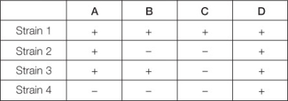 Use the following to answer questions : Suppose that a wild-type bacterium can synthesize substance D,but various mutant strains cannot.We know that substance D is synthesized from substance X in a pathway that involves three intermediate substances (A,B,and C),but we do not know the order of the steps in the pathway.Below is a table of four different mutant strains that have been tested for their ability to grow on the various substances.The plus sign means that the strain can grow on that substance;the negative sign means that the strain cannot grow on that substance. -Suppose that another strain (strain 5)can grow on substance B but cannot grow on substance C.What can we infer from this observation?