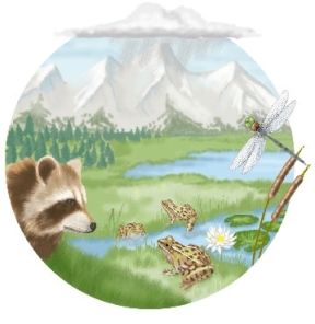 <strong>Use the following to answer questions : Refer to the figure below. In the image above,what is the largest (highest)level of biological organization that is visible?</strong> A) Community B) Organism C) Landscape D) Biosphere E) Population