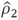 <strong>The third step in the first iteration of the Cochrane-Orcutt method for AR(1)is to</strong> A)use the estimate of to adjust the dependent variable. B)use the estimate of to adjust the independent variables. C)use the estimate of to adjust the dependent variable and the independent variables. D)use the estimate of and to adjust the dependent variable and the independent variables.