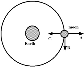 <strong> In the figure, the moon is moving clockwise in a circular orbit around Earth. Imagine that gravity was suddenly shut off, throughout the solar system, at the instant when the moon is in the position shown in the figure. How would the moon move, after gravity was shut off?</strong> A) In the direction of arrow B, in a straight line. B) In the direction of arrow C, in a straight line. C) In the direction of arrow A, in a straight line. D) It would continue moving in the same circular path. E) Initially in the direction of arrow A, but then curving around toward the direction of arrow B.
