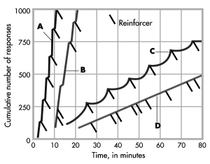 The different schedules of reinforcement produce different patterns of responding. In the graph shown, which pattern represents the highest rate of responding?