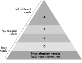 <strong>The triangle depicts Maslow's famous hierarchy of needs.Identify the letter that corresponds to safety needs in Maslow's motivational hierarchy. </strong> A)A B)B C)C D)D