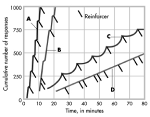 <strong> The different schedules of reinforcement produce different patterns of responding. In the graph shown, which pattern represents the highest rate of responding? </strong> A)A B)B C)C D)D