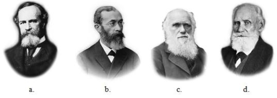 <strong>Which of the individuals pictured wrote On the Origin of Species, a book thatprovided a compelling account of evolution through the mechanism of naturalselection? </strong> A)a B)b C)c D)d