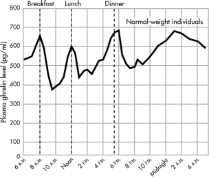 <strong>Identify the hormone that, in people of normal weight, follows the daily pattern shown in the graph; that is, rising sharply before meals and abruptly falling after meals. </strong> A)insulin B)ghrelin C)leptin D)neuropeptide Y