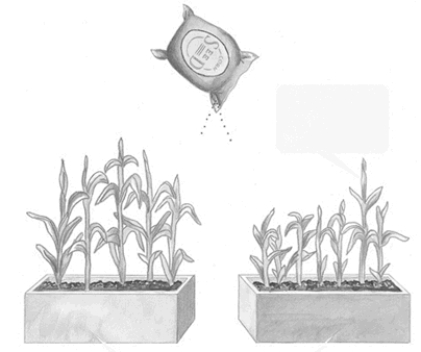 The two-pots analogy in this figure is used to illustrate which of the following?  