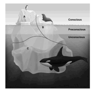 <strong>The drawing depicts Sigmund Freud's famous iceberg analogy for the structure of personality. Which letter labels the personality structure that doesn't develop until about age 5 or 6, and represents a person's conscience? </strong> A)A B)B C)C D)Conscience is depicted by the whale.