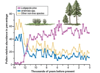 <strong>figure 17.20 In figure 17.20,the plant community changed from alpine tundra grasses to coniferous forest as temperatures warmed up.In this figure lodgepole pines are occupying which of the following?</strong> A)A realized niche B)A community C)A population D)A fundamental niche E)A biome