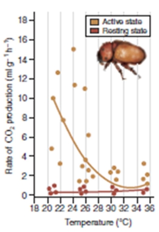 <strong>figure 6.14 What is the dependent variable in figure 6.14?</strong> A)Temperature B)Rate of oxygen production C)Amount of pollen collected D)Rate of carbon dioxide production E)Glucose production