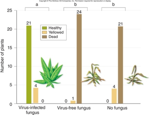 <strong>Figuer: What is the dependent variable in this figure?</strong> A) number of plants that died at 65°C B) number of plants that died at 37°C C) number of plants that could grow at 37°C D) number of plants that could grow at 65°C