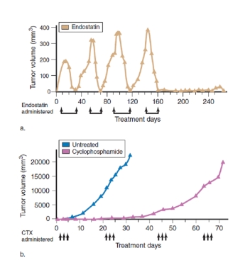 <strong>Figuer: What did the researchers conclude based on the data in figure (a)?</strong> A) Cyclophosphamide delayed the growth of tumors but resistance developed. B) Endostatin shrunk tumors without development of resistance. C) Endostatin shrunk tumors but resistance developed. D) Tumors in untreated cells shrank in size. E) Cyclophosphamide delayed the growth of tumors without development of resistance.