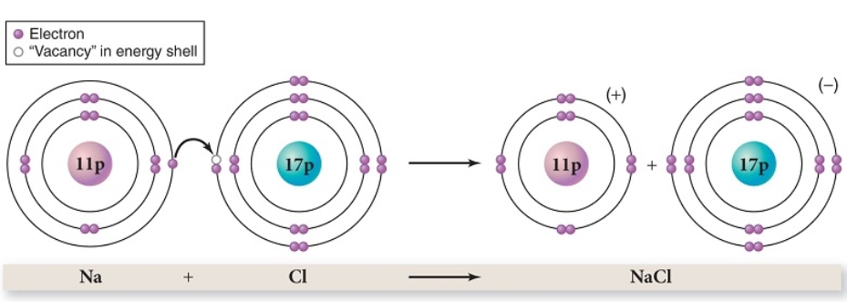 In the example of ionic bond formation between sodium and chlorine,as shown,which of the following is not a true statement?