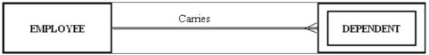 <strong>The following figure shows an example of: </strong> A) a one-to-many relationship. B) a strong entity and its associated weak entity. C) a co-dependent relationship. D) a double-walled relationship.