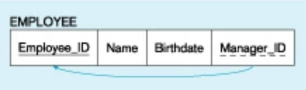 <strong>In the figure below,what type of key is depicted? </strong> A) Primary B) Recursive primary C) Composite D) Recursive foreign