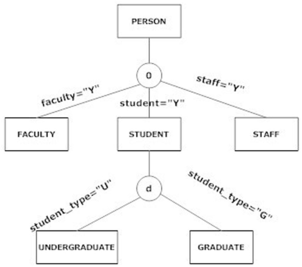 <strong>The following figure shows a: </strong> A) disjoint constraint. B) completeness constraint. C) supertype/subtype hierarchy. D) spindle constraint.