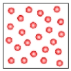What kind of change is depicted in the following image?      