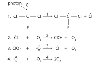Consider the following sequence of reactions. The reason that low concentrations of CFCs can destroy major amounts of ozone is due to the production of a the reactive Cl species in this sequence.