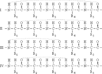 <strong>Which structure below indicates the proper hydrogen-bonding pattern between amino acids in an α-helix? Dashed lines represent the hydrogen bonds.) </strong> A) I B) II C) III D) IV