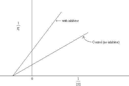 <strong>What type of inhibition is indicated by the data graphed below?  </strong> A) competitive B) uncompetitive C) noncompetitive D) irreversible <div style=padding-top: 35px> 