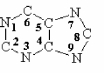 <strong>The purine ring system is shown below. What is the source of the carbon atoms 2 and 8 during de novo biosynthesis of purines?  </strong> A) carbon dioxide B) aspartate C) 10-formyltetrahydrofolate D) glutamine <div style=padding-top: 35px> 