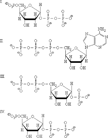 <strong>Which structure below is PRPP?  </strong> A) I B) II C) III D) IV <div style=padding-top: 35px> 