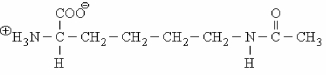 <strong>A HATS enzymes reacts with the side-chain of lysine to form the following structure: What effect will the HATS enzymes have on histones? </strong> A) No effect, since histones contain few lysine residues. B) HATS will increase the affinity of histones for DNA. C) HATS will allow for easier unravelling of histone-DNA structures. D) HATS activate histones for interaction with mRNA.