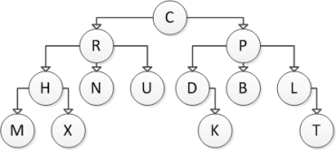 <strong>Consider the following tree diagram: Which of the following nodes are interior nodes?</strong> A) C B) N C) C and P D) C, N, and P