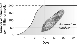 <strong>The carrying capacity for Paramecia caudatum as shown in this figure is </strong> A)12 days. B)200/ml of medium. C)100/ml of medium. D)24 days.