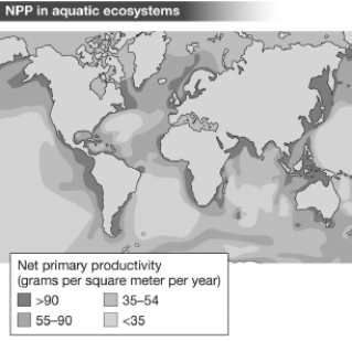 <strong>The figure below shows the net primary productivity (NPP)in marine biomes around the world.The pattern of NPP in marine ecosystems as shown suggests that </strong> A)marine productivity is as sensitive to temperature as terrestrial productivity. B)without shade from overhead vegetation,marine productivity typically exceeds that found in terrestrial ecosystems. C)marine ecosystems are also limited by sunlight,with the highest productivity at the equator. D)most marine productivity results from the input of terrestrially derived nutrients.