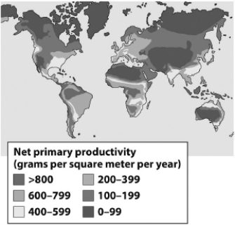 <strong>The figure below shows the net primary productivity (NPP)in terrestrial biomes around the world.The pattern of NPP in terrestrial ecosystems as shown suggest that </strong> A)terrestrial productivity is highly sensitive to temperature and available sunlight with the highest productivity at the equator. B)without shade from overhead vegetation,marine productivity typically exceeds that found in terrestrial ecosystems. C)terrestrial ecosystems are not limited by sunlight or temperature. D)most terrestrial productivity results from the input of marine-derived nutrients.