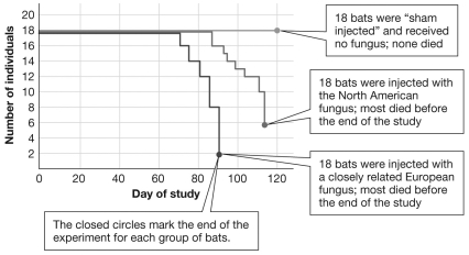 <strong>A group of researchers conducted an experiment and collected the data presented in this graph. Which of the following statements are supported by the information in this graph? </strong> A)The hypothesis was proven beyond a doubt because all members of the control group survived while most of the members of both treatment groups died by the end of the study. B)The hypothesis was proven because all members of the control group survived while most of the members of both treatment groups died by the end of the study. C)The hypothesis was not supported because all members of the control group died while most of the members of both treatment groups survived through the end of the study. D)The hypothesis was supported because all members of the control group survived while most of the members of both treatment groups died by the end of the study.
