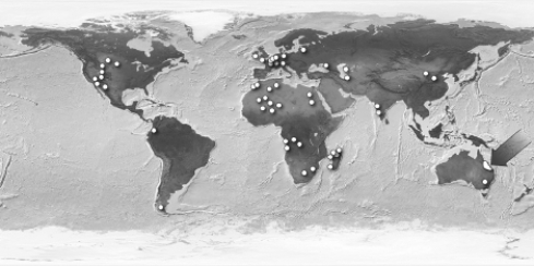 <strong>In the following figure, the region indicated by the arrow is the only modern-day location of the freshwater lungfish. Fossils of the ancestors of the lungfish, however, have been found all over the world (dots throughout the map). What does the distribution of these fossils indicate? </strong> A)When Pangaea separated to form smaller continents, the living ancestors of the lungfish were separated. When they died, some of them formed fossils in their new lands. B)The same species of lungfish evolved on all of Earth's major landmasses after continental drift had stopped. C)The ancestors of the lungfish existed on Pangaea. After they died, some were fossilized. Their fossils were separated by continental drift. D)Lungfish were much more successful in the climates of North America than they were in the climates of South America.