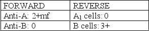<strong>Given the following ABO phenotyping data: What could be a plausible explanation for this discrepancy?</strong> A) T-activation of red cells B) Group O blood products given to group A C) Rouleaux formation D) Positive direct antiglobulin test