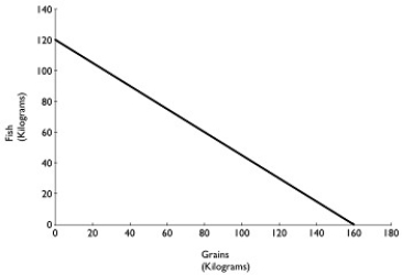 <strong>Figure 2.2   Figure 2.2 above shows the production possibilities frontier for Atikamekw Cree (ca. 1600)with a historical tradition of fishing and farming. Assume they produce two goods: fish and grains Refer to Figure 2.2.Suppose Atikamekw Cree are currently producing 60 kilograms of grain per period.How much fish is it also producing, assuming that resources are fully utilized?</strong> A)45 kilograms of fish B)75 kilograms of fish C)80 kilograms of fish D)100 kilograms of fish <div style=padding-top: 35px> 