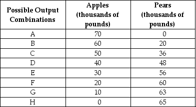 Table 2.2   Refer to Table 2.2.The Fruit Farm produces only apples and pears.The table above shows the maximum possible output combinations of the two fruits using all resources and currently available technology. a.Graph The Fruit Farm's production possibilities frontier.Put apples on the horizontal axis and pears on the vertical axis.Be sure to identify the output combination points on your diagram. b.Suppose The Fruit Farm is currently producing at point D.What is the opportunity cost of producing an additional 8,000 pounds of pears? c.Suppose The Fruit Farm is currently producing at point D.What happens to the opportunity cost of producing more and more pears? Does it increase, decrease or remain constant? Explain your answer. d.Suppose The Fruit Farm is currently producing at point G.What happens to the opportunity cost of producing more and more apples? Does it increase, decrease or remain constant? Explain your answer. e.Suppose The Fruit Farm is plagued by the apple maggot infestation which destroys apple trees but not pears.Show in a graph what happens to its PPF.<div style=padding-top: 35px> 