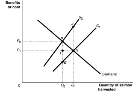 Figure 5.7 Figure 5.7 shows the market for Atlantic salmon, a common resource. The current market equilibrium output of Q₁ is not the economically efficient output. The economically efficient output is Q₂. -Refer to Figure 5.7.The current market equilibrium output is partly the result of overfishing.In that case, what does S₂ represent?