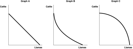 <strong>Figure 2-2 Refer to Figure 2-2.Steve Vignetto raises cattle and llamas on his land.His land is equally suitable for raising either animal.Which of the graphs in Figure 2-2 represents his production possibility frontier?</strong> A)Graph A B)Graph B C)Graph C D)either Graph B or Graph C