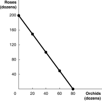 <strong>Figure 2-6 Figure 2-6 above shows the production possibility frontier for Vidalia,a nation that produces two goods,roses and orchids. Refer to Figure 2-6.What is the opportunity cost of 80 dozen orchids?</strong> A)0 roses B)2.5 dozen roses C)40 dozen roses D)200 dozen roses