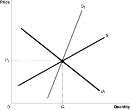 Figure 5-8 -Refer to Figure 5-8.Suppose the market is initially in equilibrium at price P<sub>1</sub> and now the government imposes a tax on every unit sold.Which of the following statements best describes the impact of the tax? For demand curve D<sub>1</sub>