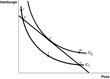 Figure 6-4 -Refer to Figure 6-4.The consumer can afford consumption bundles