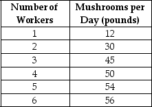 Table 7-1 Table 7-1 shows the technology of production at the Matsuko's Mushroom Farm for the month of May. -Refer to Table 7-1.Diminishing marginal returns sets in when the ________ worker is hired.